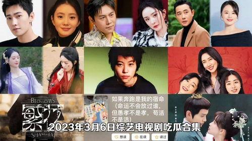 大型吃瓜神剧视频,揭秘幕后真相，带你领略娱乐圈风云变幻