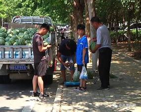 宁河吃瓜群众事件视频曝光,视频曝光揭示惊人真相