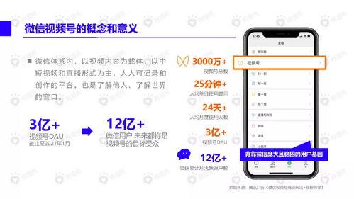 女生旅游吃瓜视频大全下载,女生旅游吃瓜视频大全，一网打尽旅行中的趣味瞬间