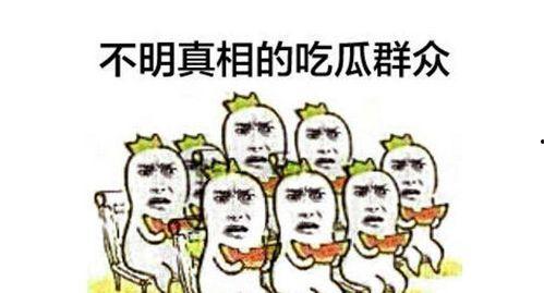吃瓜群众看曝光视频素材,吃瓜群众视角下的曝光视频素材深度解析