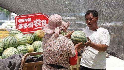 农村的吃瓜观众图片视频,农村吃瓜观众的热闹画卷