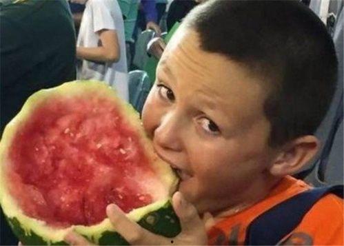 老外吃中国瓜视频,品尝地道美味，感受中华美食魅力