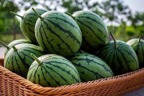 快手上传播吃瓜视频,快手吃瓜视频背后的现象解析