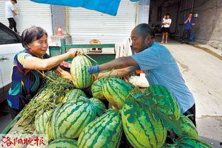 新乐田小姐吃瓜视频,揭秘娱乐圈幕后真相