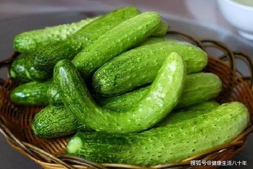 吃瓜摆烂视频大全,笑料百出，轻松解压！