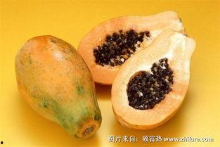 鲜瓜怎么吃最佳效果视频,视频揭秘最佳食用效果