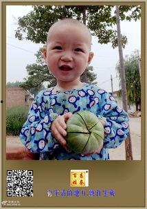 大盆友吃瓜视频在线观看,揭秘娱乐圈幕后故事